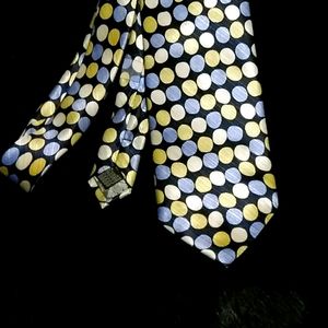 Steve Land Men's 100% Silk Tie